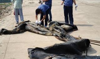 三峡水库在哪个省