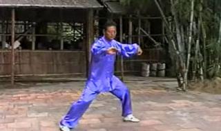 陈式太极拳小架一路 陈式太极拳小架一路